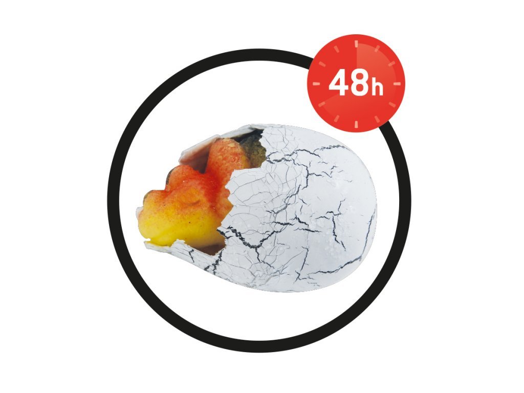Dinosaurie zrejúce vajce – Obrázok 4