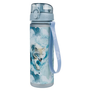 Tritanová fľaša na nápoje Polar 500 ml